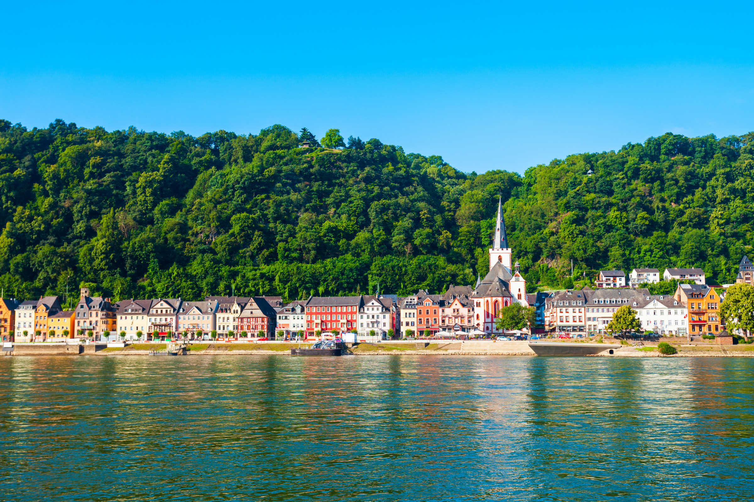 60 sankt goar.webp